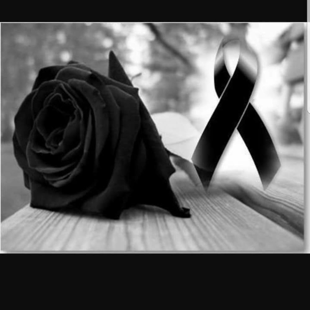 Meet your Posher, Gaby y pollo